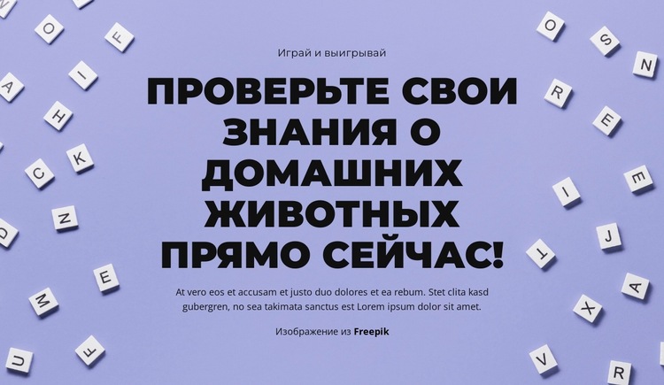 На старт, внимание, угадай Шаблон веб-сайта