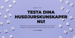 Klara, Färdiga, Gissa