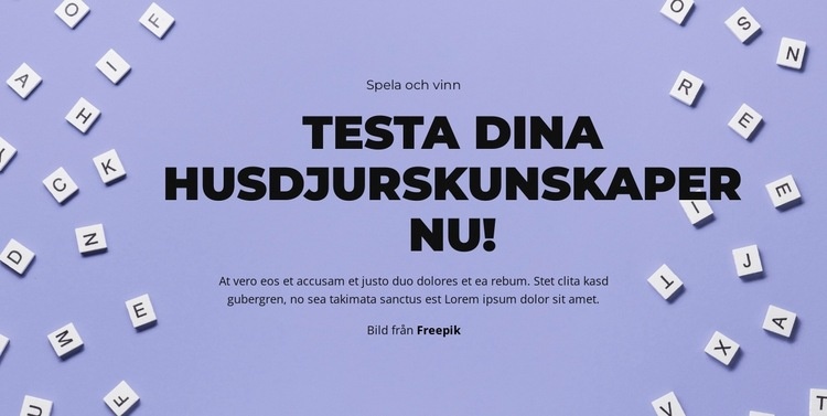 Klara, färdiga, gissa HTML-mall