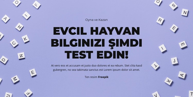 Hazır, Başla, Tahmin Et CSS Şablonu