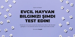 Hazır, Başla, Tahmin Et - HTML Web Sayfası Şablonu