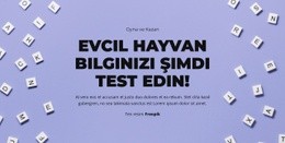 Hazır, Başla, Tahmin Et - Bir Sayfalık HTML Şablonu