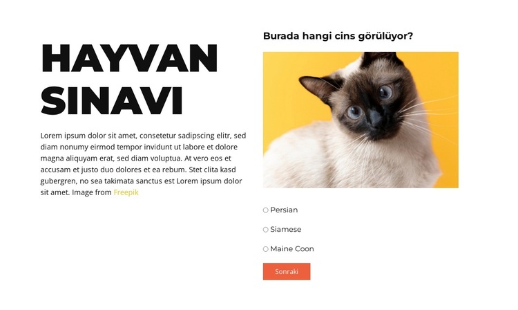 Eğlenceli Bir Meydan Okuma Önümüzde Web Sitesi Şablonu