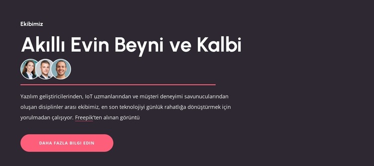 Akıllı evlerin beyinleri Web Sitesi Şablonu