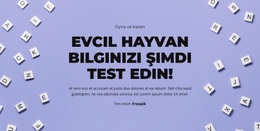 Hazır, Başla, Tahmin Et Için Çok Amaçlı WordPress Teması