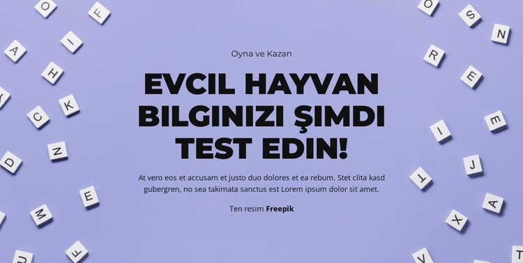 Hazır, Başla, Tahmin Et WordPress Teması