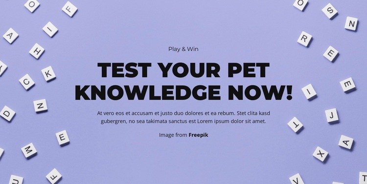 Ready, Set, Guess Website Design