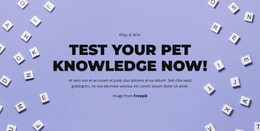 Ready, Set, Guess - Beautiful Website Mockup