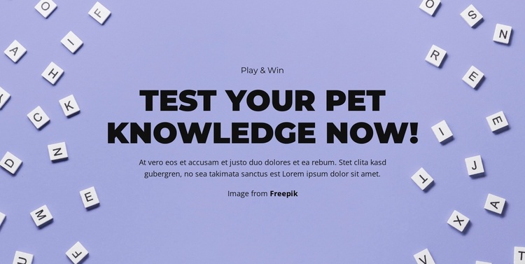 Ready, Set, Guess Landing Page