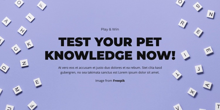 Ready, Set, Guess WordPress Theme