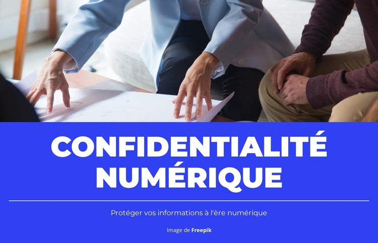 Conformité à la confidentialité Thème WordPress