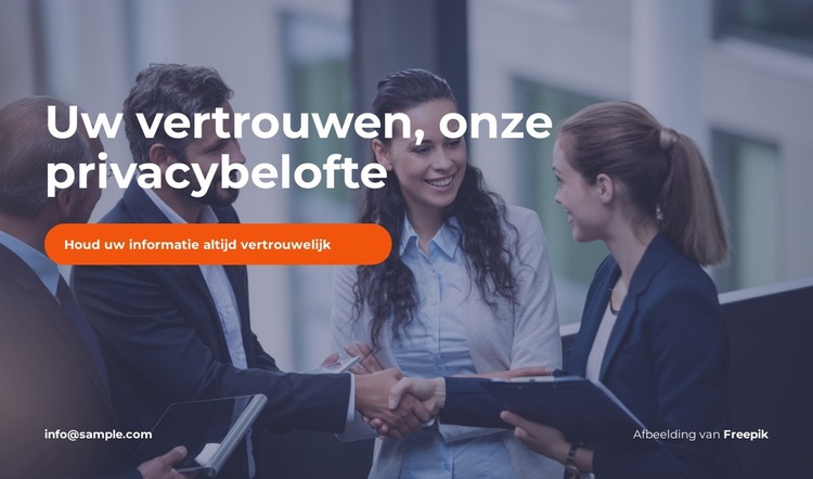 Veilige opslag Website sjabloon