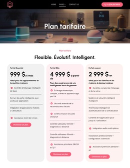 Plans Tarifaires Flexibles
