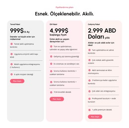 Ölçeklenebilir Fiyatlandırma Planları