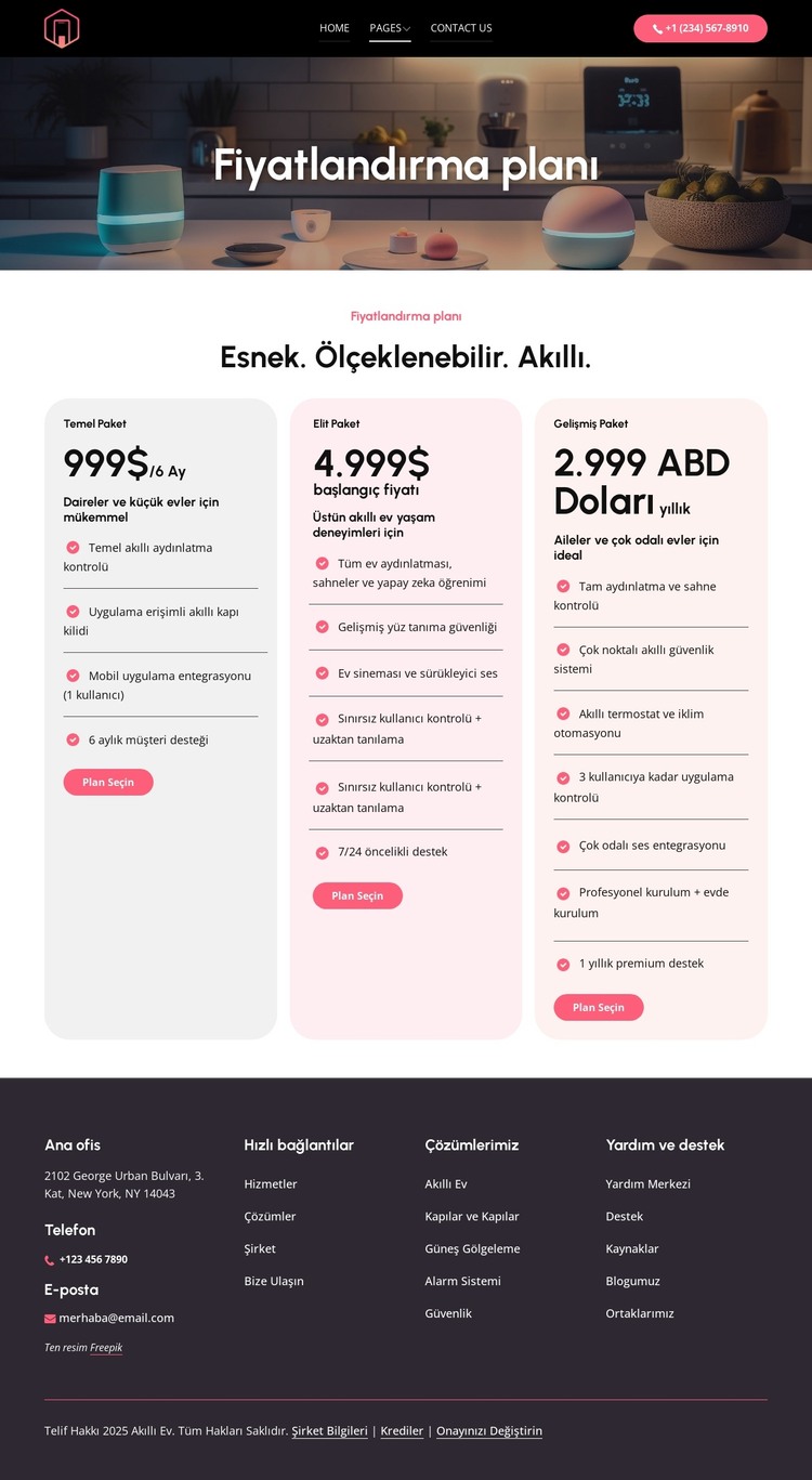 Esnek fiyatlandırma planları HTML Şablonu