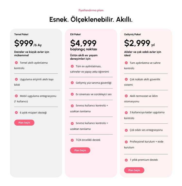 Ölçeklenebilir fiyatlandırma planları HTML Şablonu