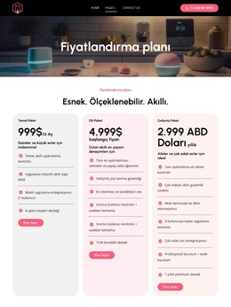Esnek fiyatlandırma planları Web Sitesi Şablonları
