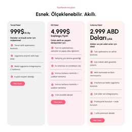 Ölçeklenebilir Fiyatlandırma Planları