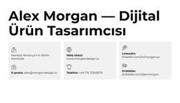 Çalışan Güzel Arayüzler Için Özel Yazı Tipleri, Renkler Ve Grafikler