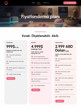 Esnek Fiyatlandırma Planları