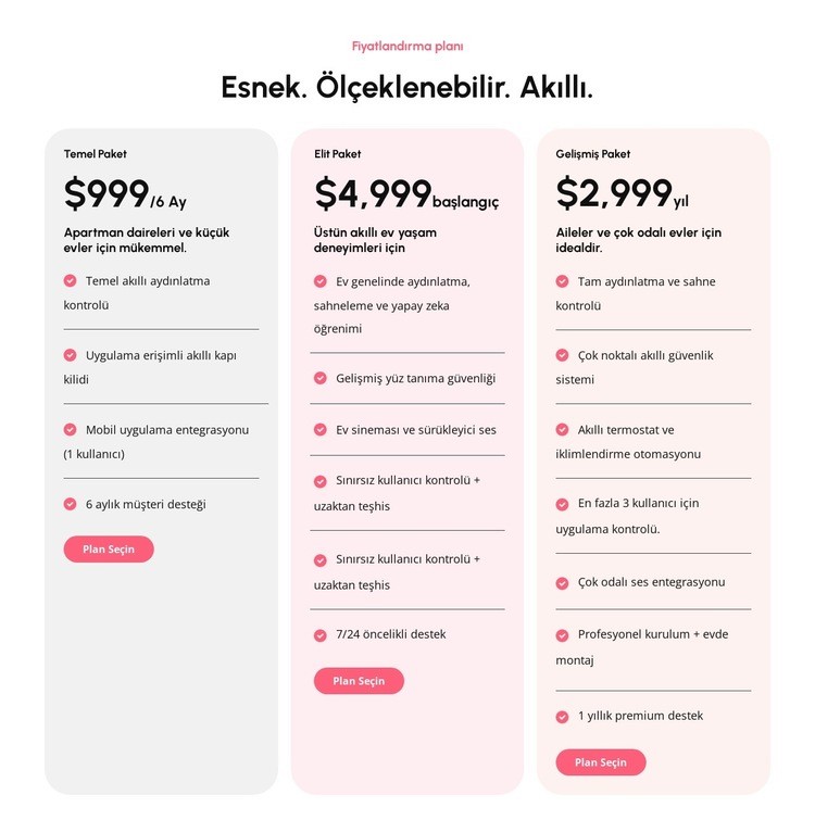 Ölçeklenebilir fiyatlandırma planları Web sitesi tasarımı