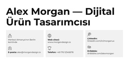 Çalışan Güzel Arayüzler - Harika WordPress Teması