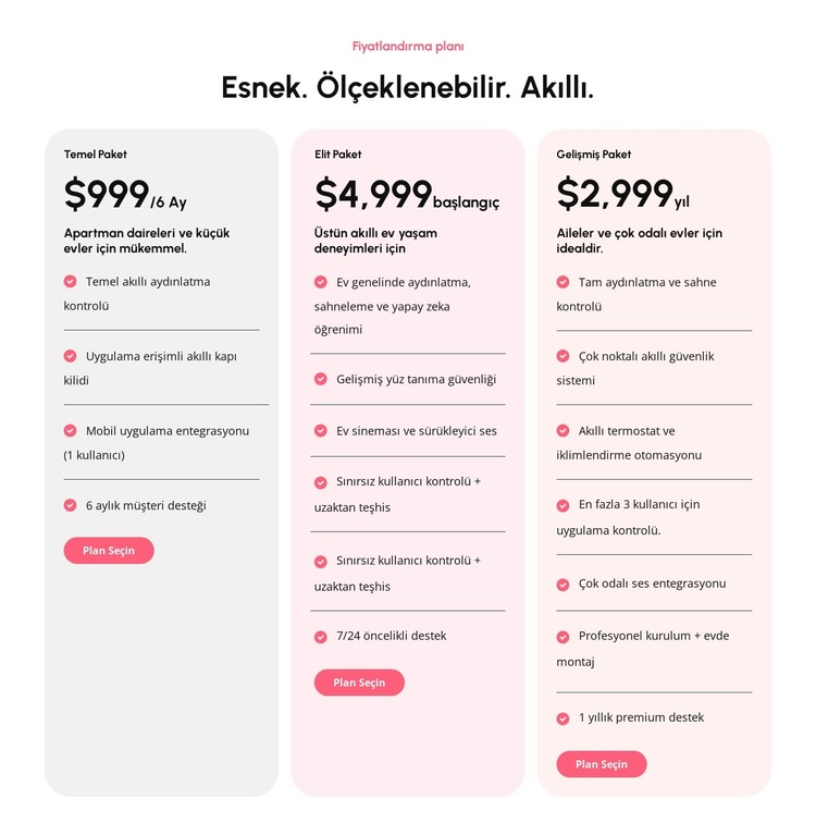 Ölçeklenebilir fiyatlandırma planları WordPress Teması