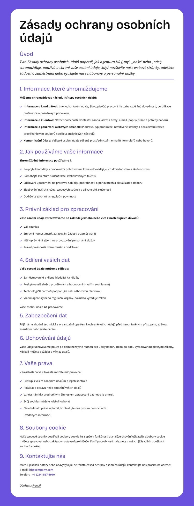 Ochrana soukromí na podnikové úrovni Šablona webové stránky