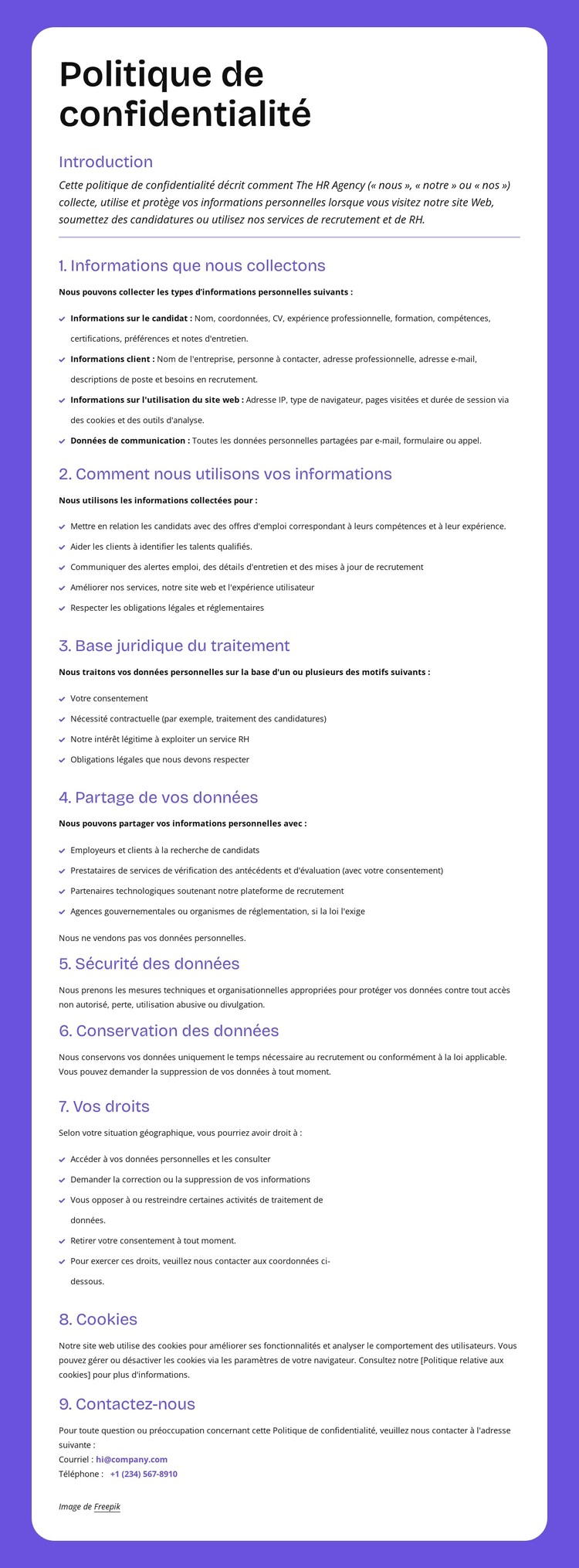 Protection de la confidentialité au niveau de l'entreprise Modèle HTML