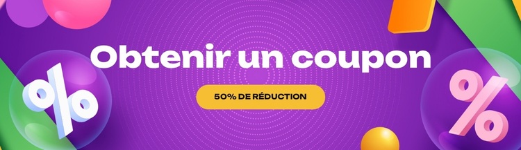 Débloquer les codes promotionnels Thème WordPress