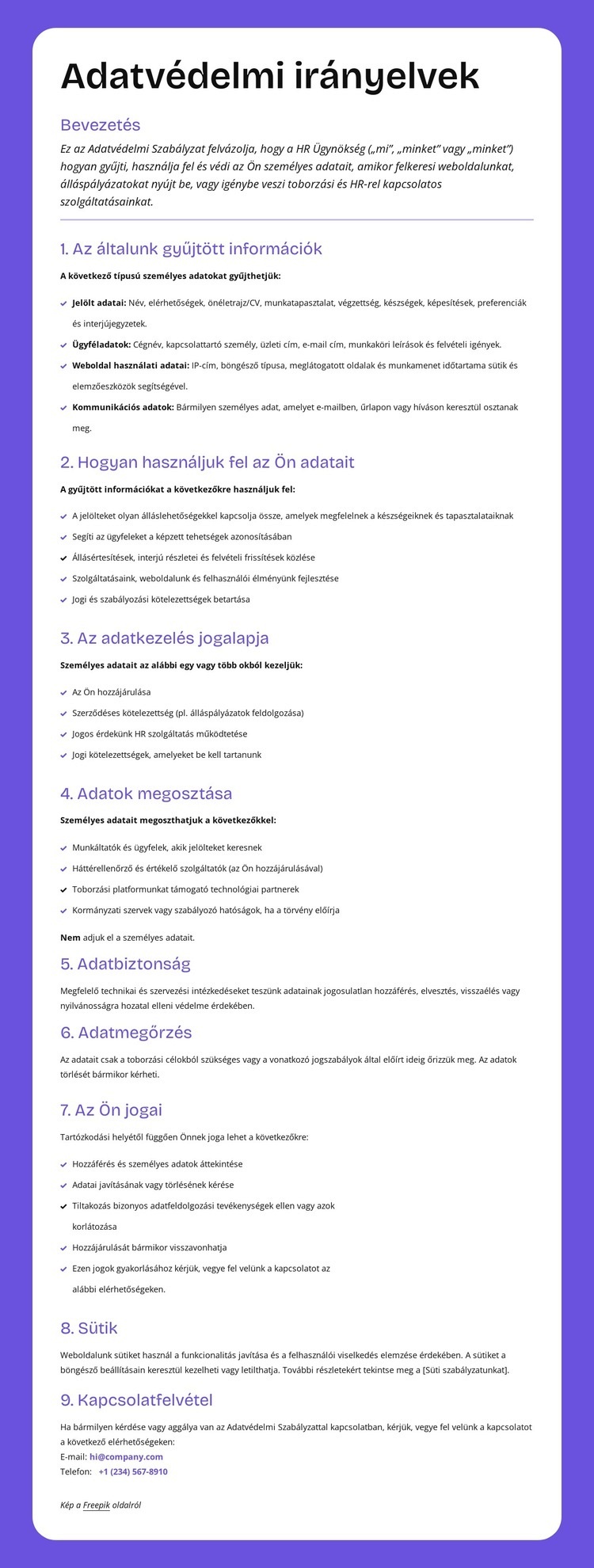 Vállalati szintű adatvédelem HTML Sablon