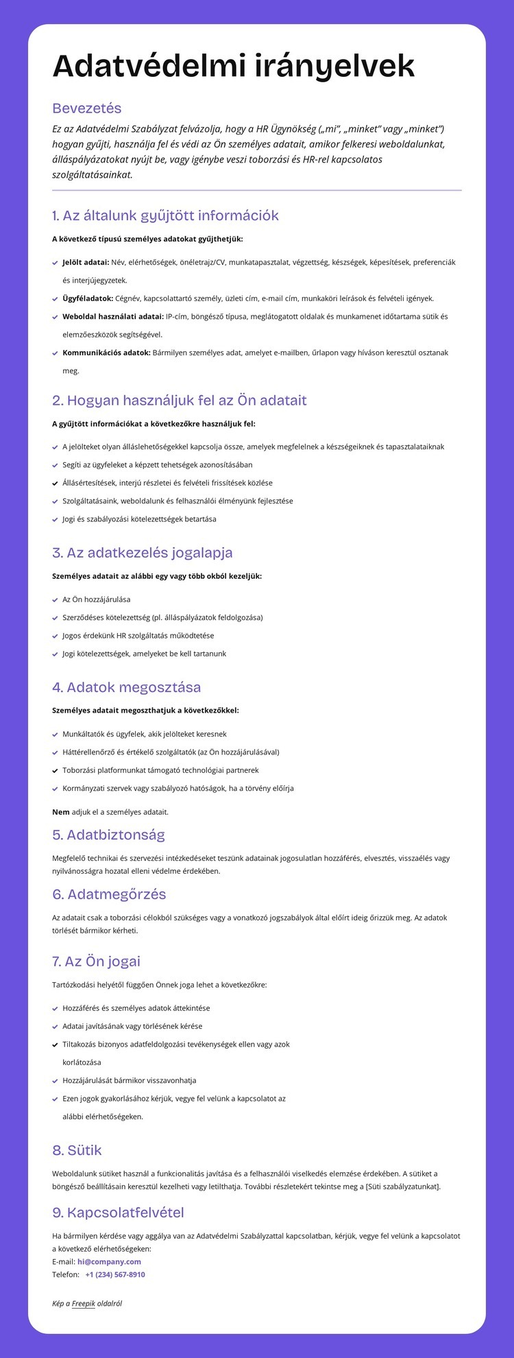 Vállalati szintű adatvédelem Weboldal sablon