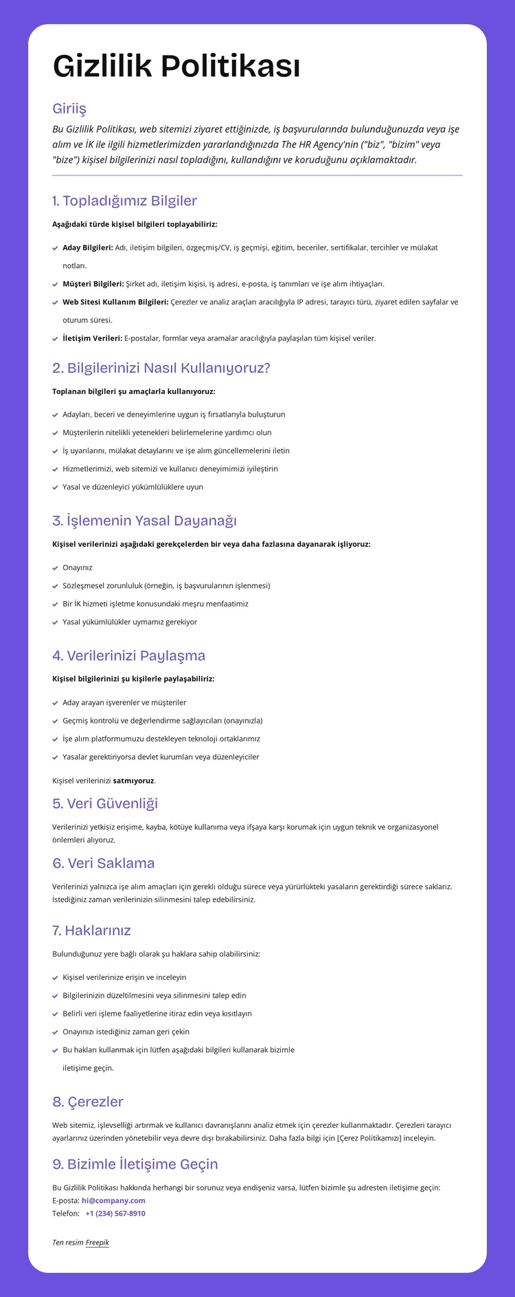 Kurumsal düzeyde gizlilik koruması WordPress Teması