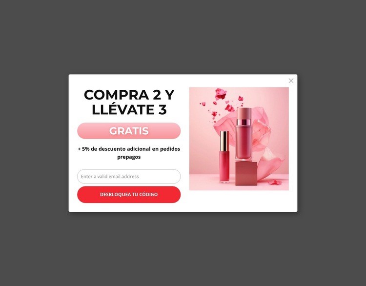 Cupón de compra 2 y llévate 3 Diseño de páginas web