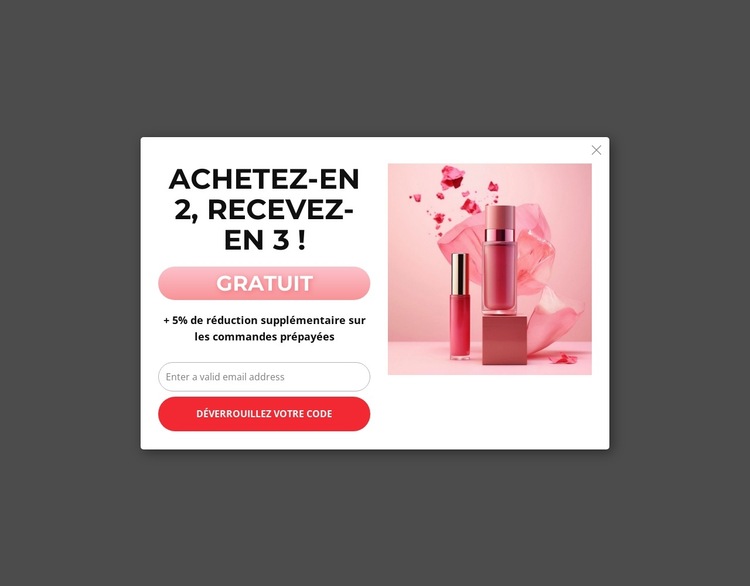 Achetez 2, obtenez 3 coupons Modèle de site Web