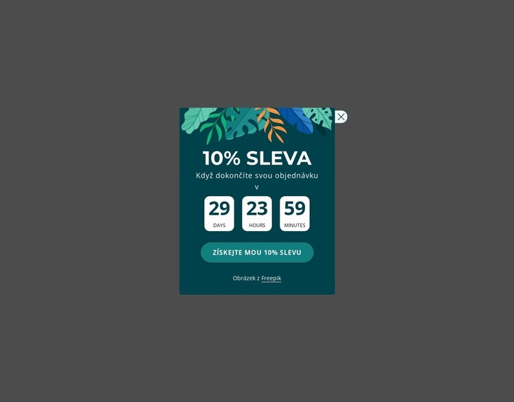 10% slevový kupón Šablona webové stránky