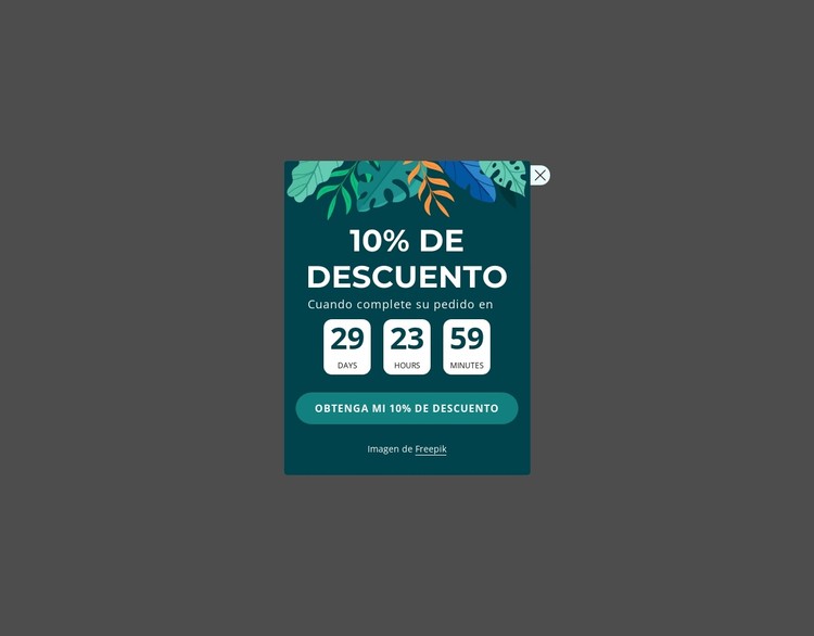 Cupón de descuento del 10% Plantilla CSS