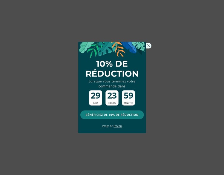Coupon de réduction de 10 % Modèle CSS