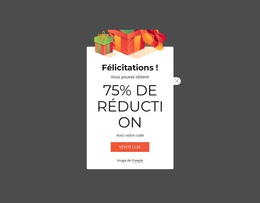 Coupon De Réduction De 75 % – Thème WooCommerce Polyvalent