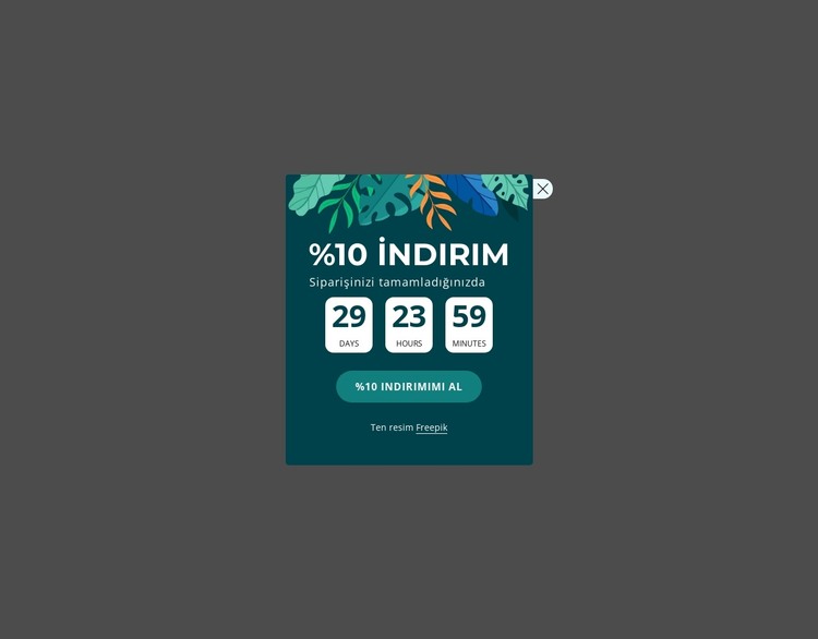 %10 indirim kuponu HTML Şablonu