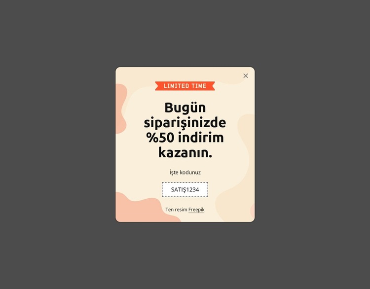 Bugün siparişinizde %50 indirim kazanın Web Sitesi Şablonu