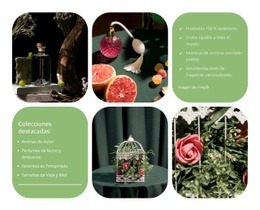 Descubre Tu Aroma Característico