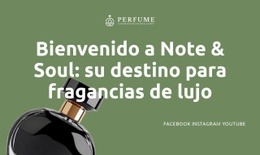 Donde El Aroma Se Encuentra Con El Alma