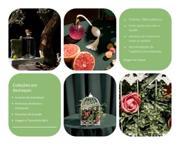 Descubra O Seu Aroma Característico