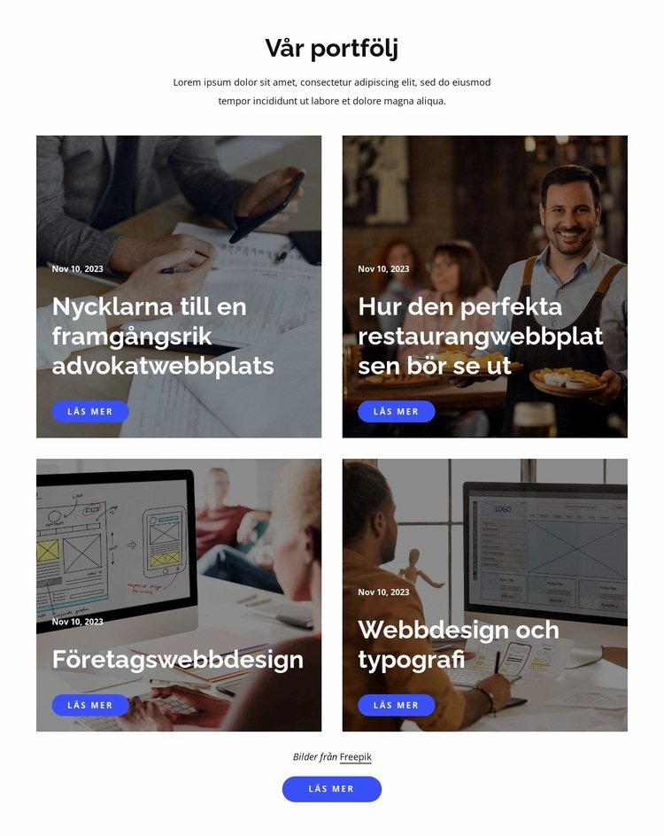 Studiovisionssammanfattning Webbplats mall