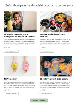 Akıllıca Beslen Blogu CSS ızgara Şablonu
