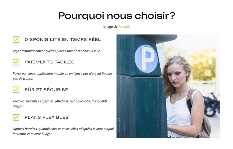 Paiement facile, stationnement facile Maquette de site Web