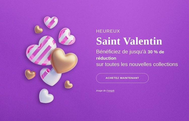 Bénéficiez jusqu'à 30% de réduction sur toutes les nouvelles collections Conception de site Web