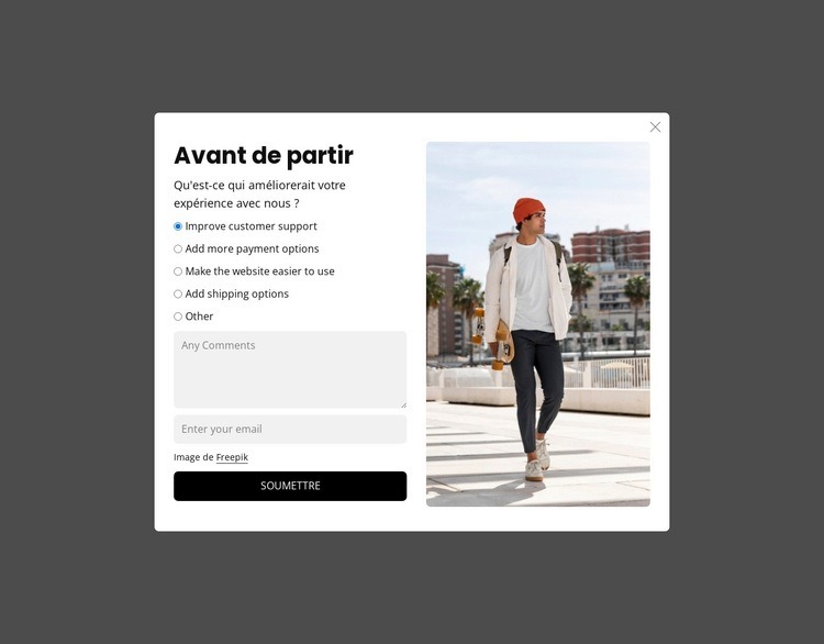 Enquête sur les intentions de sortie Conception de site Web