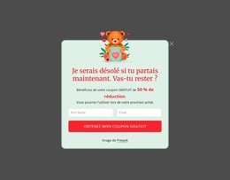 Fenêtre Contextuelle D'Abonnement - Thème WordPress Premium